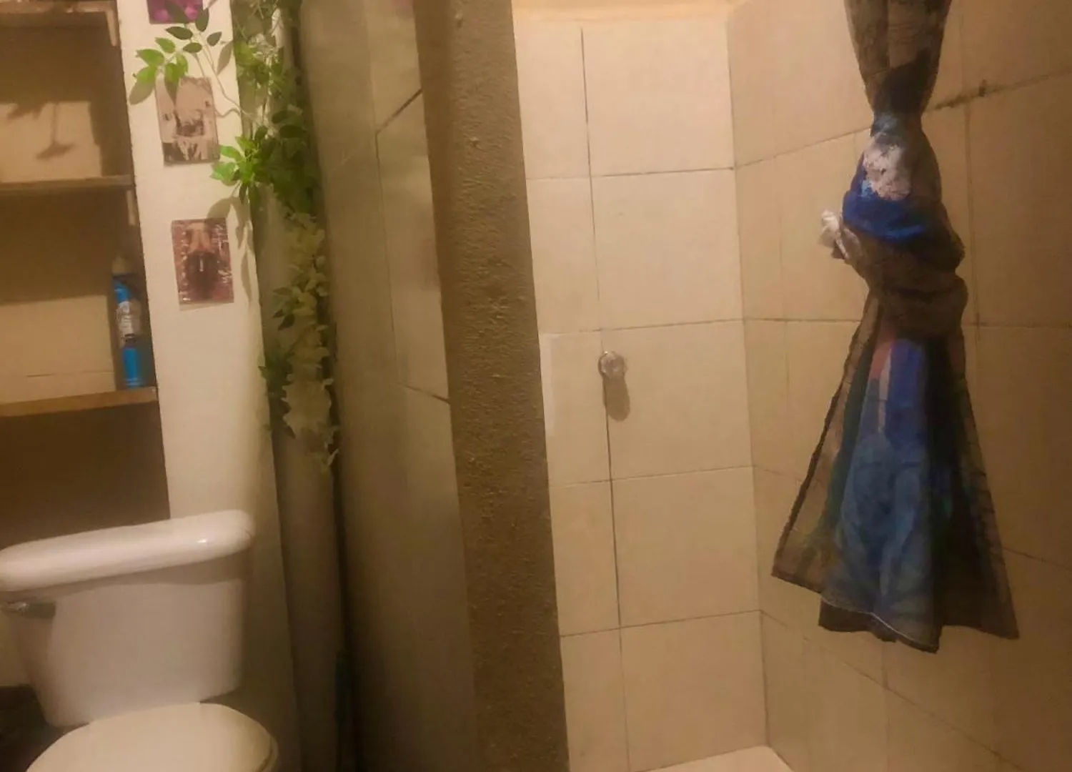 Appartement Casa Lilo Mahahual - Privat House Séjour chez l'habitant